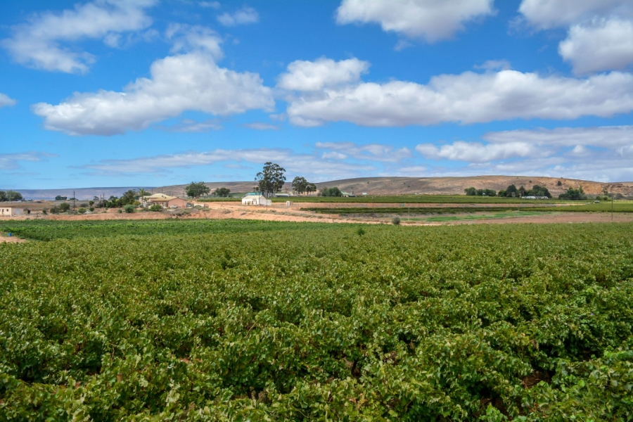 Commercial Property for Sale in Vredendal Western Cape
